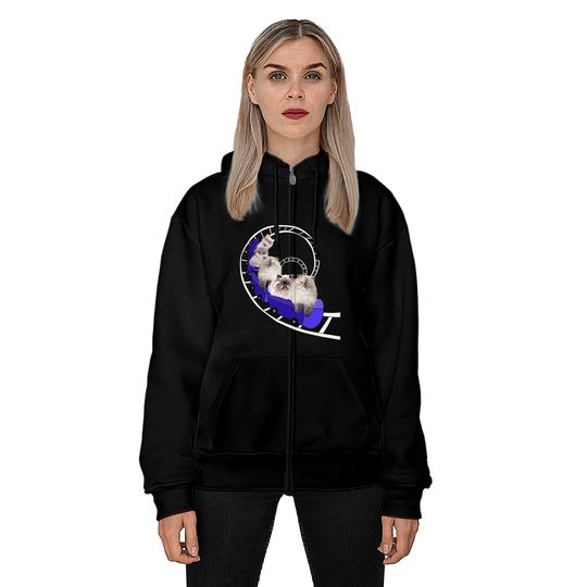 Persian Cats Gifts Cat Lovers Roller Coaster Zip Hoodie