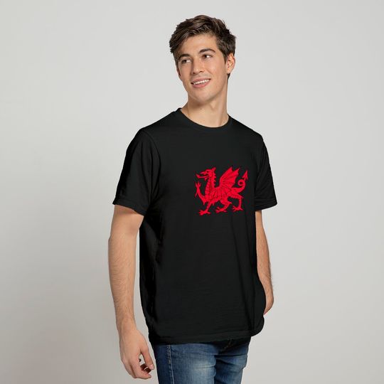 Dragon of Wales Flag Cool Welsh Cymru Flags Men Women Gift T-Shirt