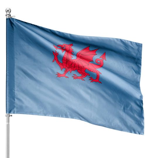 Dragon of Wales Flag Cool Welsh Cymru Flags Men Women Gift House Flags