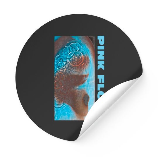 Pink Floyd Meddle Classic Sticker