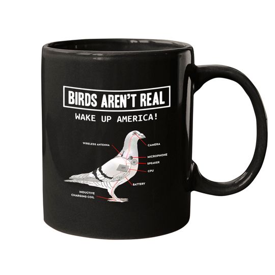 Discover Birds Aren’t Real Mugs