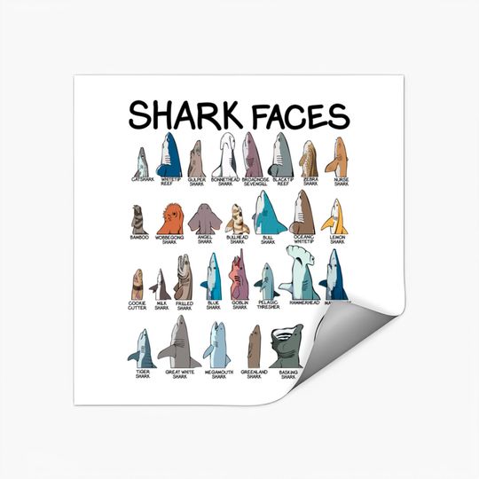 Discover Shark Faces Type Of Shark Predators Shark Week Ocean Stickers