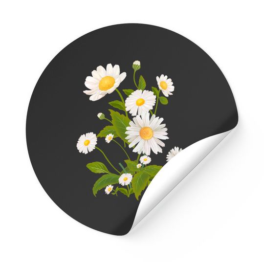 Marguerite Daisy Print - Daisy Flower - Stickers