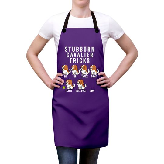 Stubborn Cavalier King Charles Spaniel Tricks - Cavalier King Charles Spaniel - Aprons