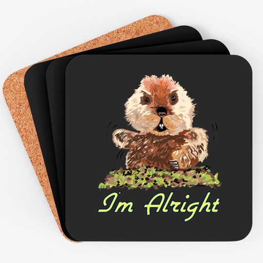 I'm Alright - Caddyshack - Coasters