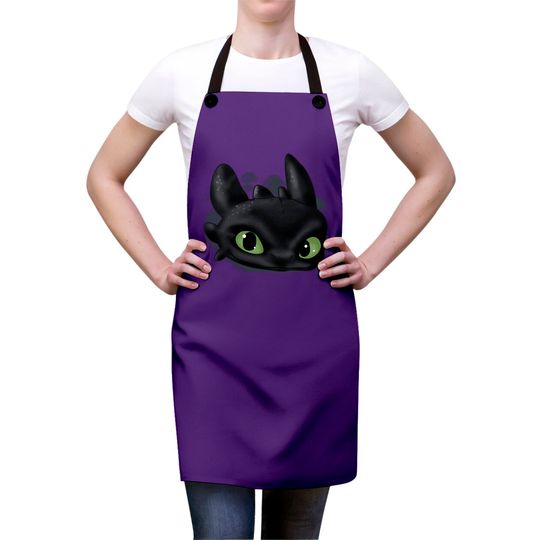 Toothless - Dragon - Aprons