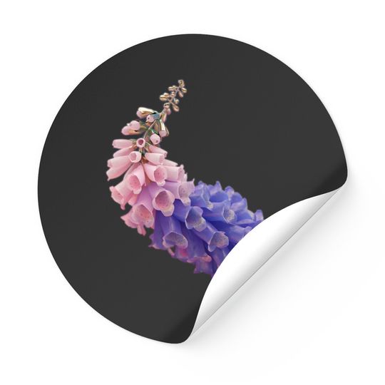 Flume Skin, Flume Skin