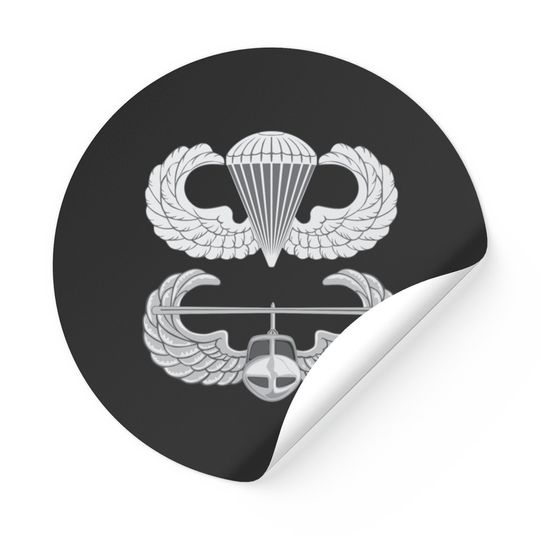 Airborne Air Assault Stickers