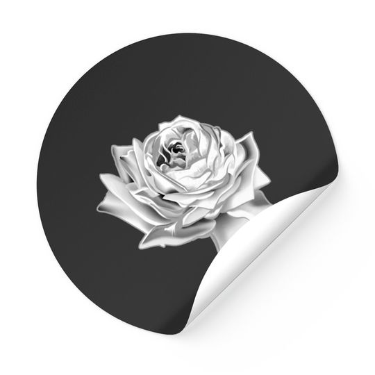 Black and white rose Stickers