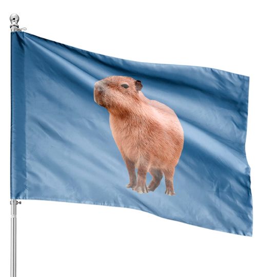 Discover Cute Capybara - Capybara - House Flags