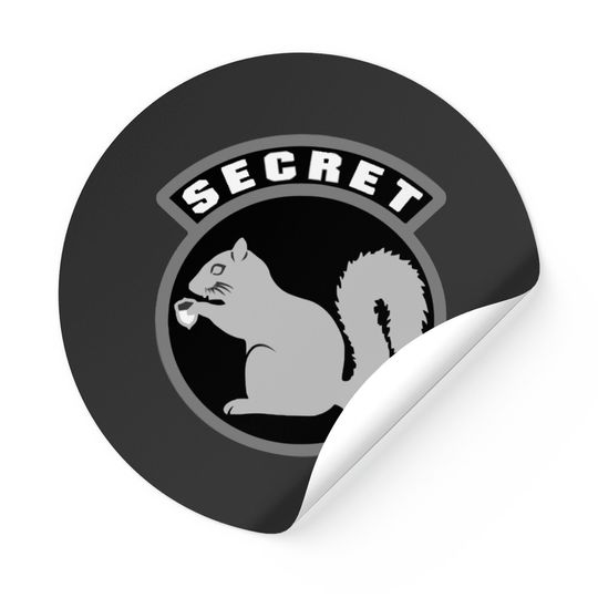 Secret Squirrel Military Intelligence Usaf Patch Stickers
