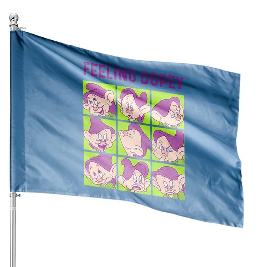 Disney Snow White And The Seven Dwarfs Feeling Dopey Box Up House Flags, Dopey Dwarf, Disney Characters House Flags