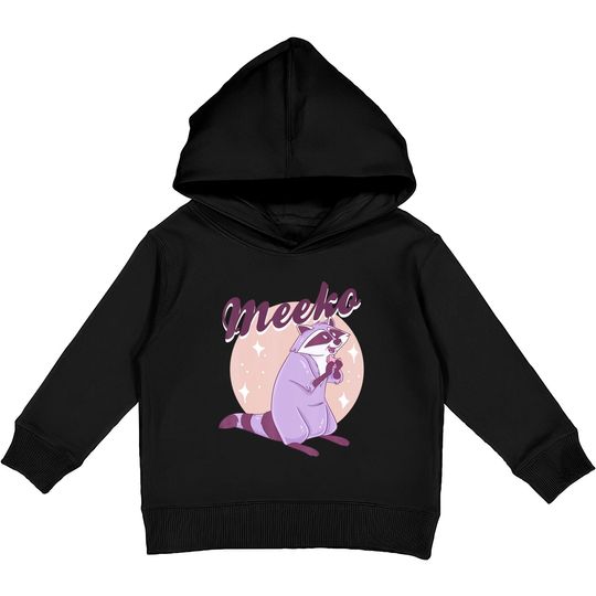 Disney Pocahontas Meeko Kids Pullover Hoodies