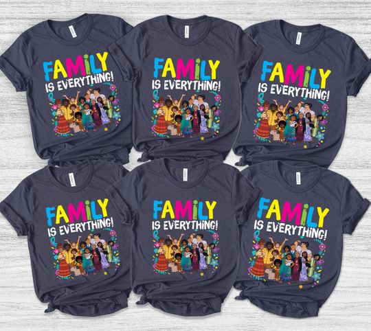 Disney Encanto Family Is Everything Shirt, Disney Encanto T-Shirt, Disney Family Shirt