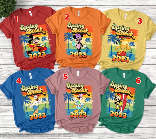 Vintage Disney Spring Break 2023 Shirt/ Retro Mickey and Friends Spring Break Squad