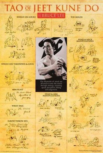 Bruce Lee Fight Moves Chart Poster