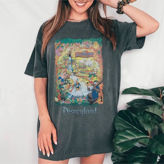 Retro Disneyland Splash Mountain | Disney Characters Splash Mountain Shirt