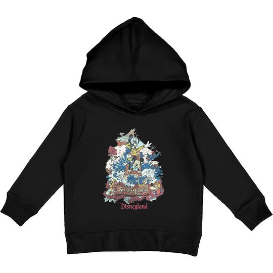 Retro Disneyland Splash Mountain Kids Pullover Hoodies