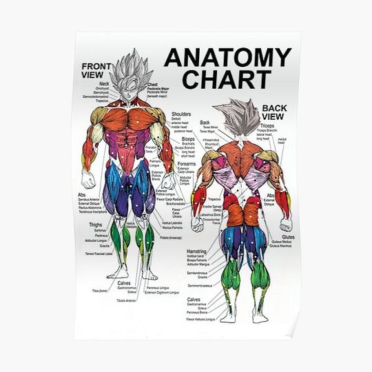 Discover Saiyan Anatomy Chart - Muscle Diagram - Anime Workout Premium Matte Vertical Poster