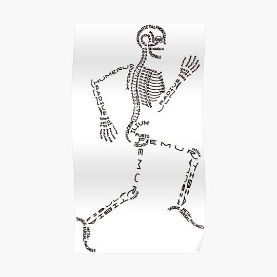 Discover Running Skeleton Premium Matte Vertical Poster