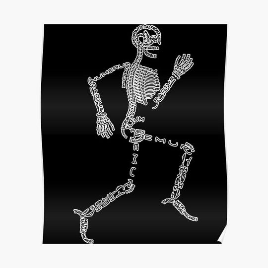 Discover Anatomy Labels Human Skeleton Running Bone Names for Geeks Premium Matte Vertical Poster