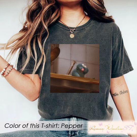 Remy Ratatouille shirt, Disney Shirt