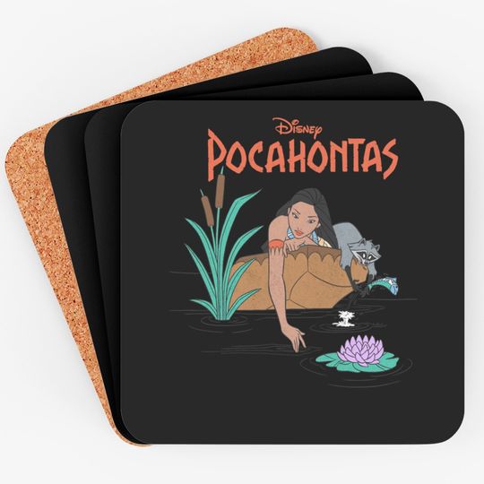 Disney Pocahontas Meeko Afternoon Dreaming Coasters