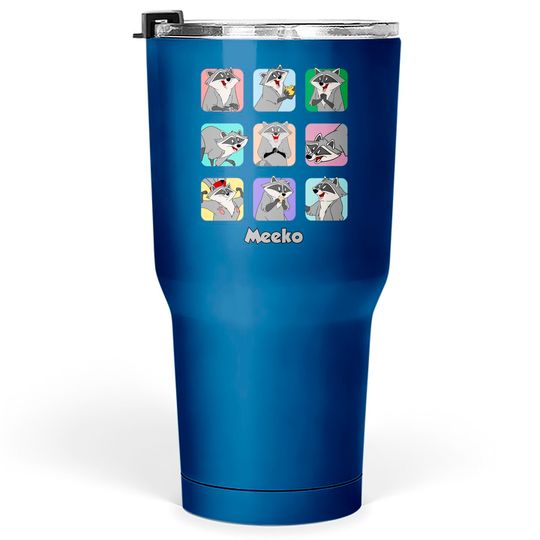 Disney Meeko Moods Pocahontas Characters Tumblers 30 oz