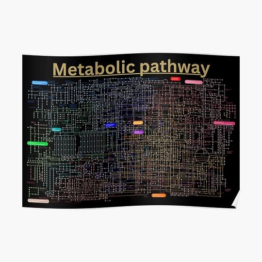 Discover Metabolic pathway of the cell Premium Matte Vertical Poster