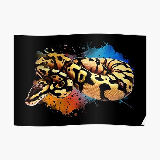 Discover Ball Python Watercolor Reptile Keeper Snake Premium Matte Vertical Poster