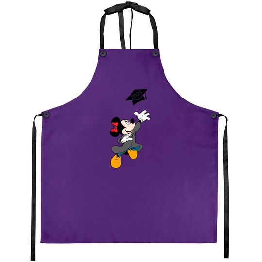 Minnie Graduate Aprons, Disney Graduation Aprons, Collage Life, Gift for Senior Aprons