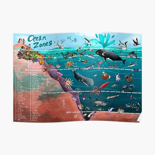 Ocean Zones Illustration Premium Matte Vertical Poster