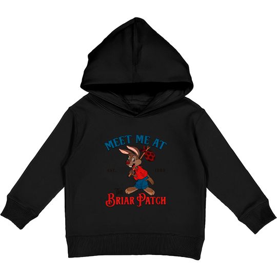 Disney Splash Mountain Vintage Kids Pullover Hoodies, Meet Me At The Briar Patch Kids Pullover Hoodies