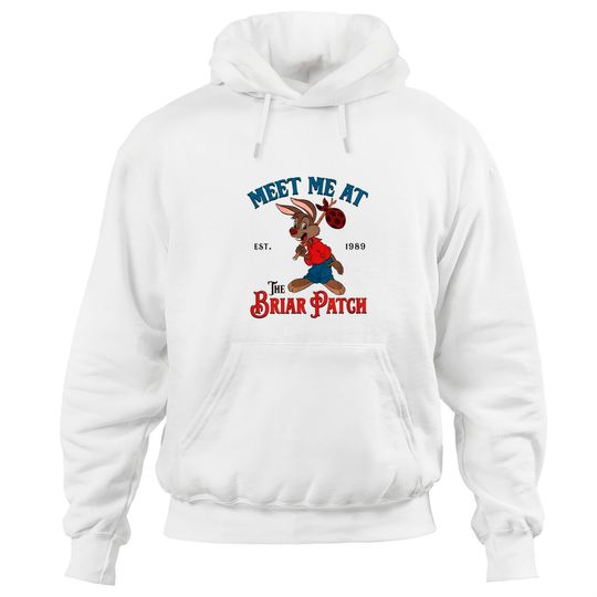 Disney Splash Mountain Vintage Hoodies, Meet Me At The Briar Patch Hoodies