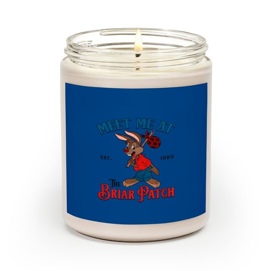 Disney Splash Mountain Vintage Scented Candles, Meet Me At The Briar Patch Scented Candles