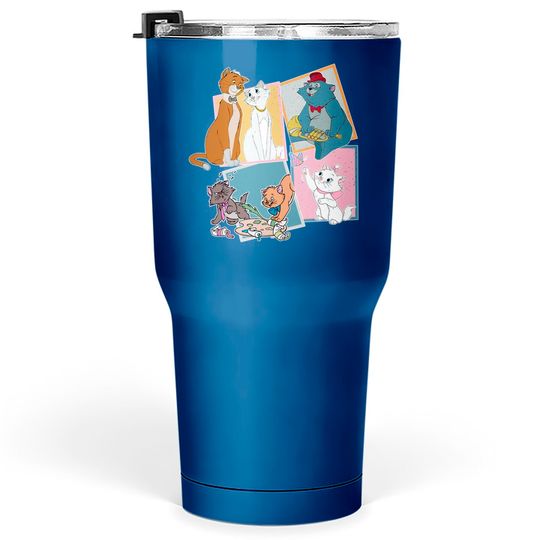 Disney Comfort colors Tumblers 30 oz, Retro Disney Aristocats Tumblers 30 oz