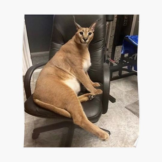 Discover Big Floppa in a Chair Premium Matte Vertical Poster