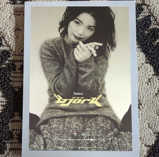 Discover Bjork Debut Album Cover Poster