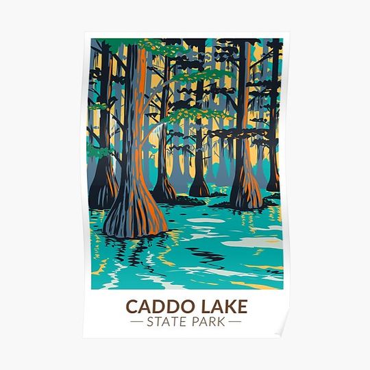 Discover Caddo Lake State Park Texas Vintage Premium Matte Vertical Poster