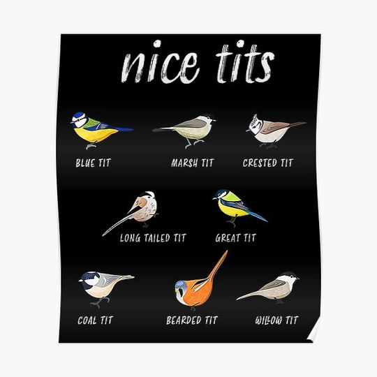 Discover Nice Tits Bird Premium Matte Vertical Poster