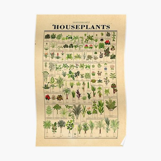 Discover The Horticultural Chart Of Houseplants Poster Premium Matte Vertical Poster