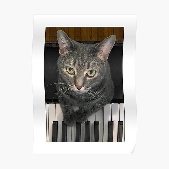 Discover Nora The Piano Cat From Above Premium Matte Vertical Poster