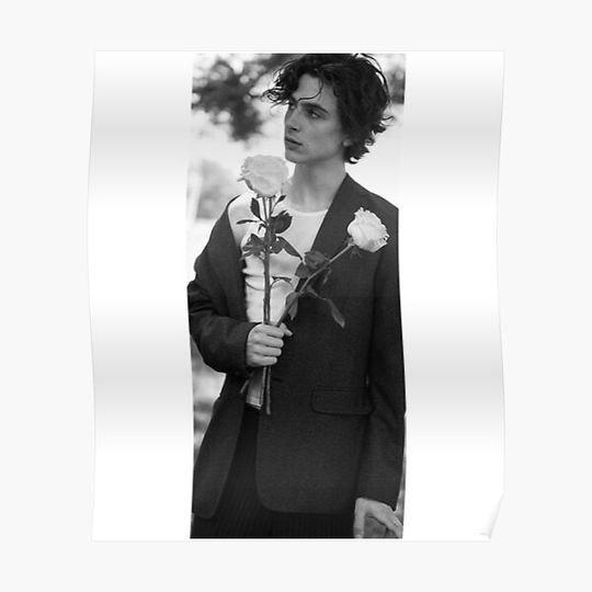 Timothee Chalamet Poster Premium Matte Vertical Poster