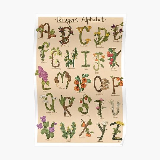 Discover ABCs of Foraging Premium Matte Vertical Poster