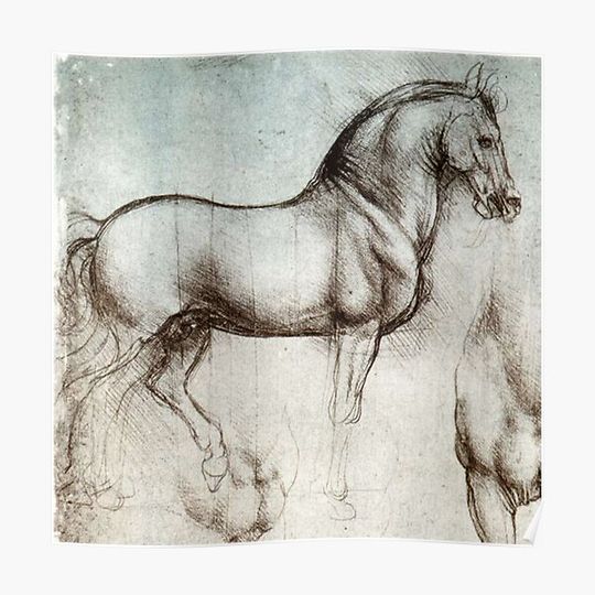 Horse sketches by Leonardo Da Vinci Premium Matte Vertical Poster