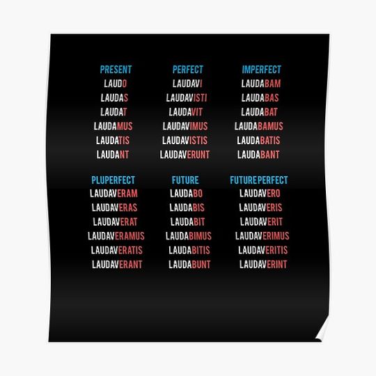 Discover Latin Verbs Conjugation - Latin Language Premium Matte Vertical Poster
