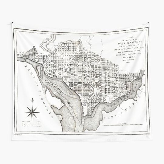 Washington-Washington DC-1800 Tapestry