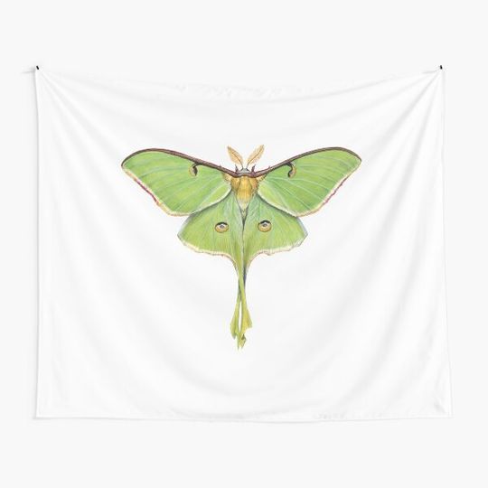 Discover Luna Moth (Actias luna) II Tapestry