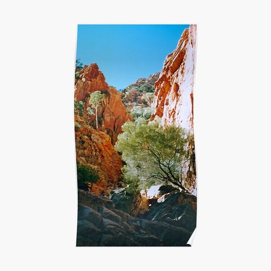 Discover Australian outback- out and about Premium Matte Vertical Poster