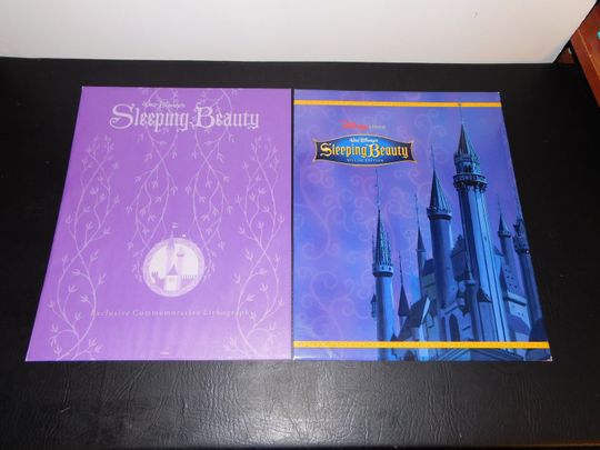 The Disney Store Sleeping Beauty Lithographs 1990's pick your favorite.